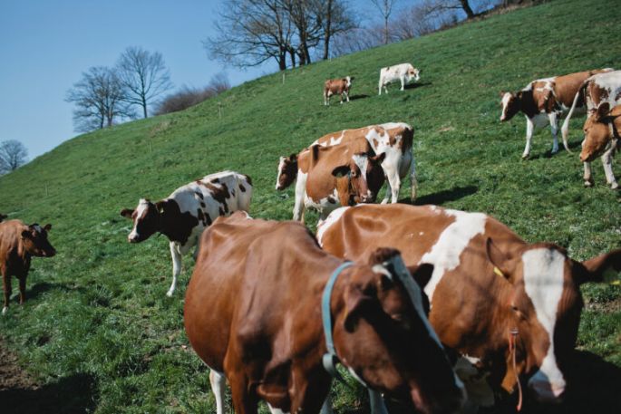 Farmers-06-768x512.jpg