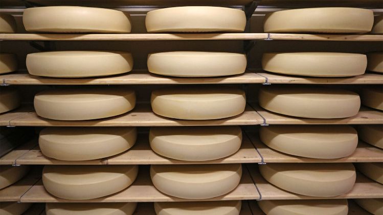 Cheese Blocks