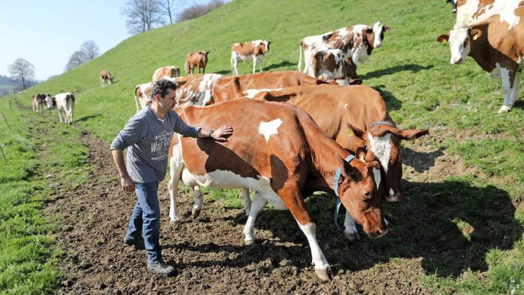 Emmi_Farmers_Header-1024x682